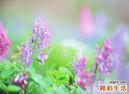 独一无二的英文昵称