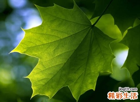 成熟稳重的抖音名称