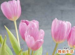 独一无二的网易云昵称