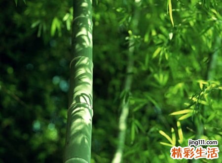 好听古风唯美的3个字网名