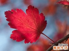 带红字的微信昵称洋气版