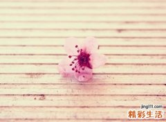 怀念前任的网名