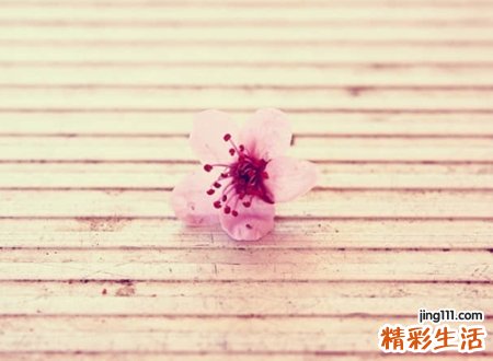 怀念前任的网名
