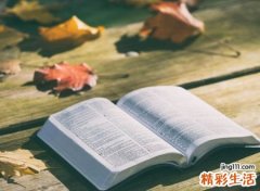 四个字吸引人的微信名字