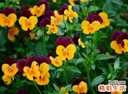 好听二字名字