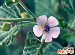 好听两个字网名