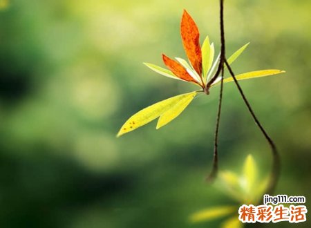 qq网名两字版