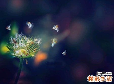 心情复杂的抖音昵称