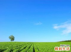 好听的游戏名字前缀