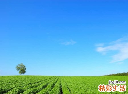 好听的游戏名字前缀