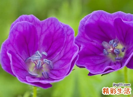 漂亮的名字微信版