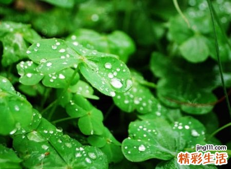 伤感离别的网名