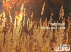 超拽霸气冷酷的三字网名