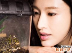 超好听的女孩网名