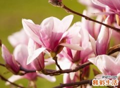 好听又好看的网名