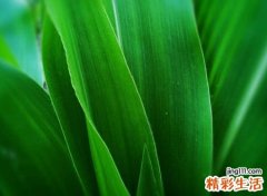 好听有意义的网名