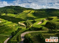 霸气的吃鸡战队名字大全