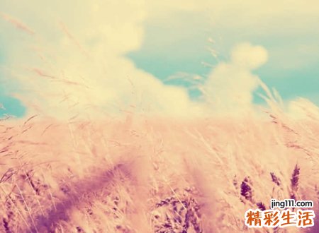 简短英文昵称