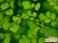 好听的英语昵称大全