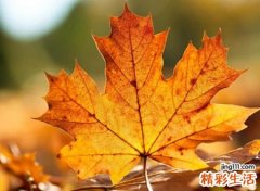 三个字好听名字微信版