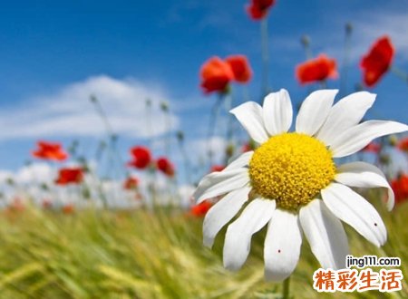 有意义的抖音网名