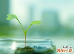 可爱一点的名字微信版