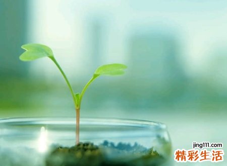 可爱一点的名字微信版