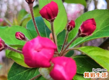 两个字男生好听的网名