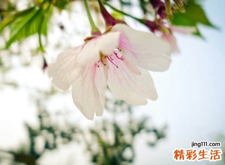 温暖的名字微信版