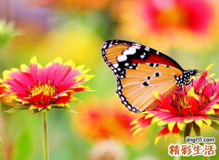 微信网名两个字霸气版