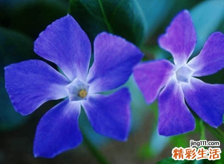 好听一点的名字微信版