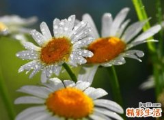 两个字女生昵称