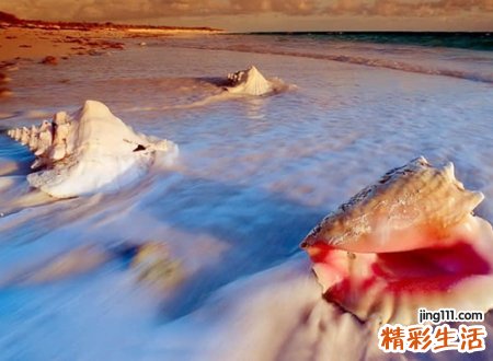 逗比搞笑的幽默昵称