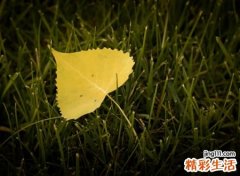 极度伤感的名字