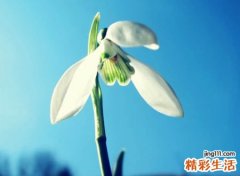 小清新的抖音昵称