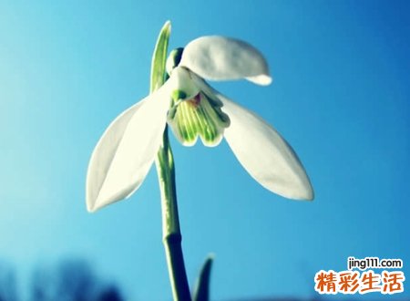 小清新的抖音昵称