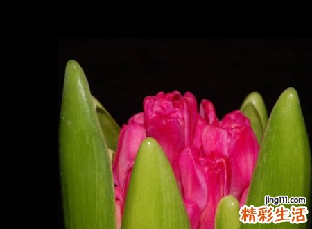 大气又低调的名字