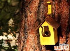 霸气超拽的快手网名