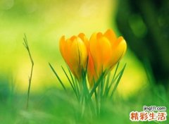 带修字的有寓意的名字