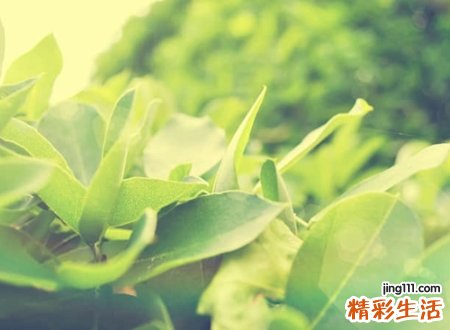 缺火缺木有寓意的名字