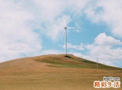 天字辈的名字大全