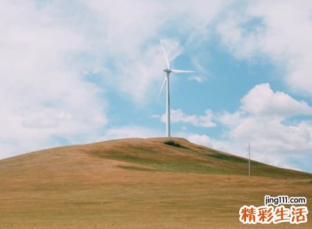 天字辈的名字大全