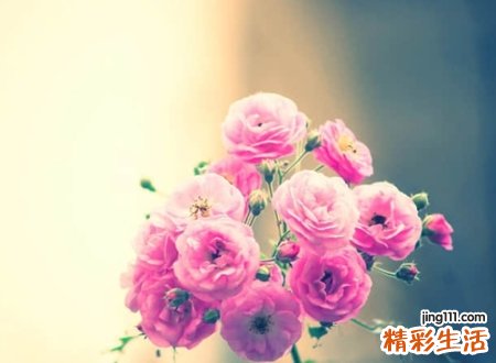 花字开头的名字霸气版