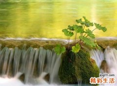 带浩字100分的名字