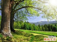 好听的微信昵称两个字版