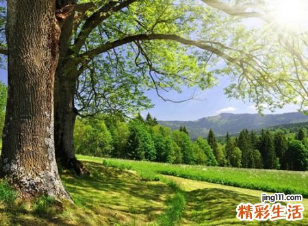 好听的微信昵称两个字版