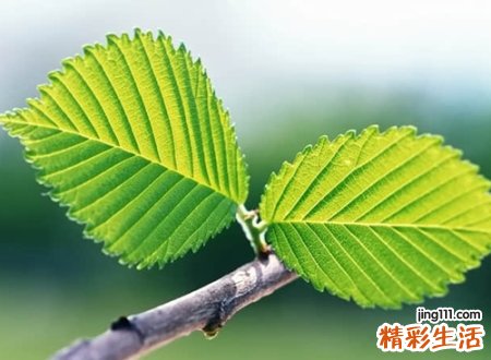 经典不落伍的扣扣网名