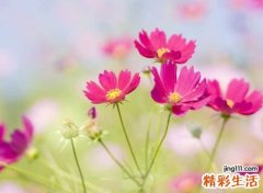 好看的成熟名字微信版