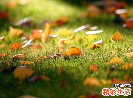 诗情画意的名字