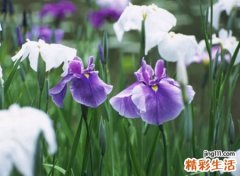 简单大气的微信昵称